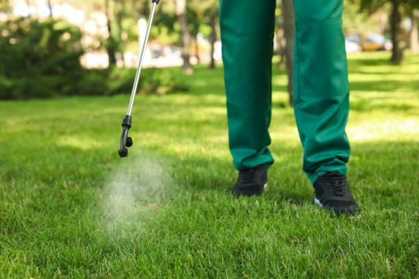 Best Pest Removal Services  in Fairwood, MD