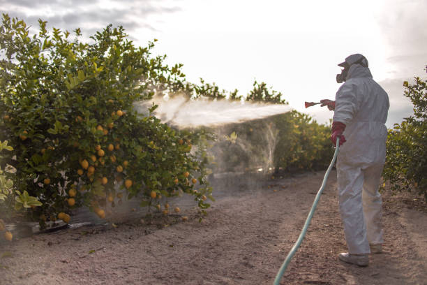 Best Wasp Removal Services  in Fairwood, MD