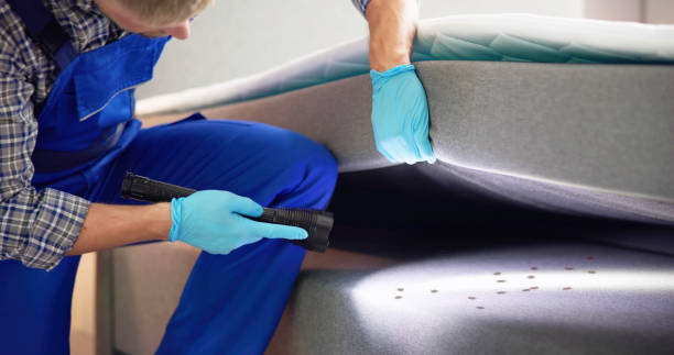 Best Pest Inspection Near Me  in Fairwood, MD
