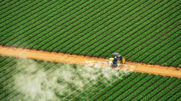 Best Pest Control Treatment  in Fairwood, MD