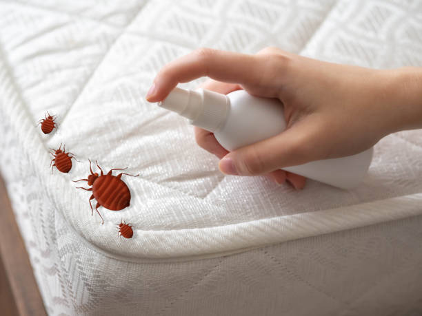 Best Affordable Pest Control Services  in Fairwood, MD