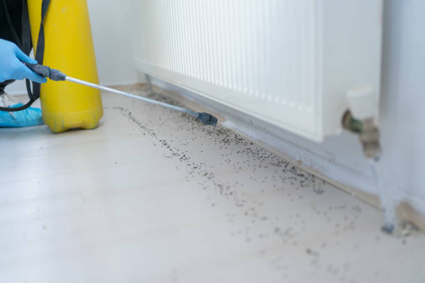 Best Bed Bug Extermination  in Fairwood, MD